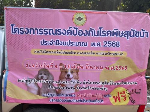 ฉีดวัคซีนพิษสุนัขบ้า
